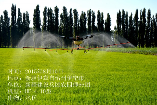 2015年8月10日伊犁水稻作业